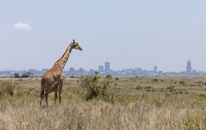 10 meilleures attractions touristiques au Kenya