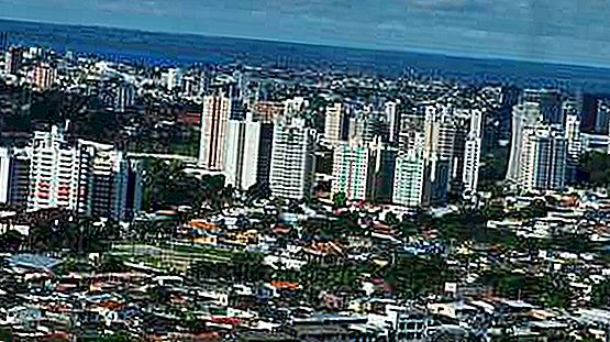 10 meilleures choses Ã  faire Ã  Manaus, BrÃ©sil