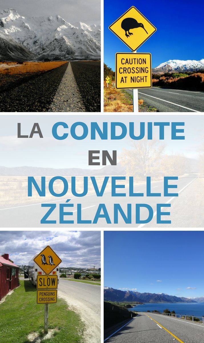 Conduire en Nouvelle-Zélande : tout ce que vous devez savoir