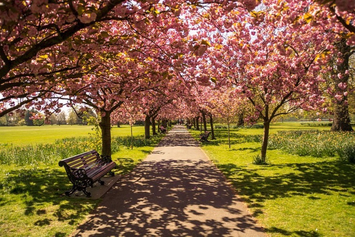 Les 5 meilleurs parcs de Londres