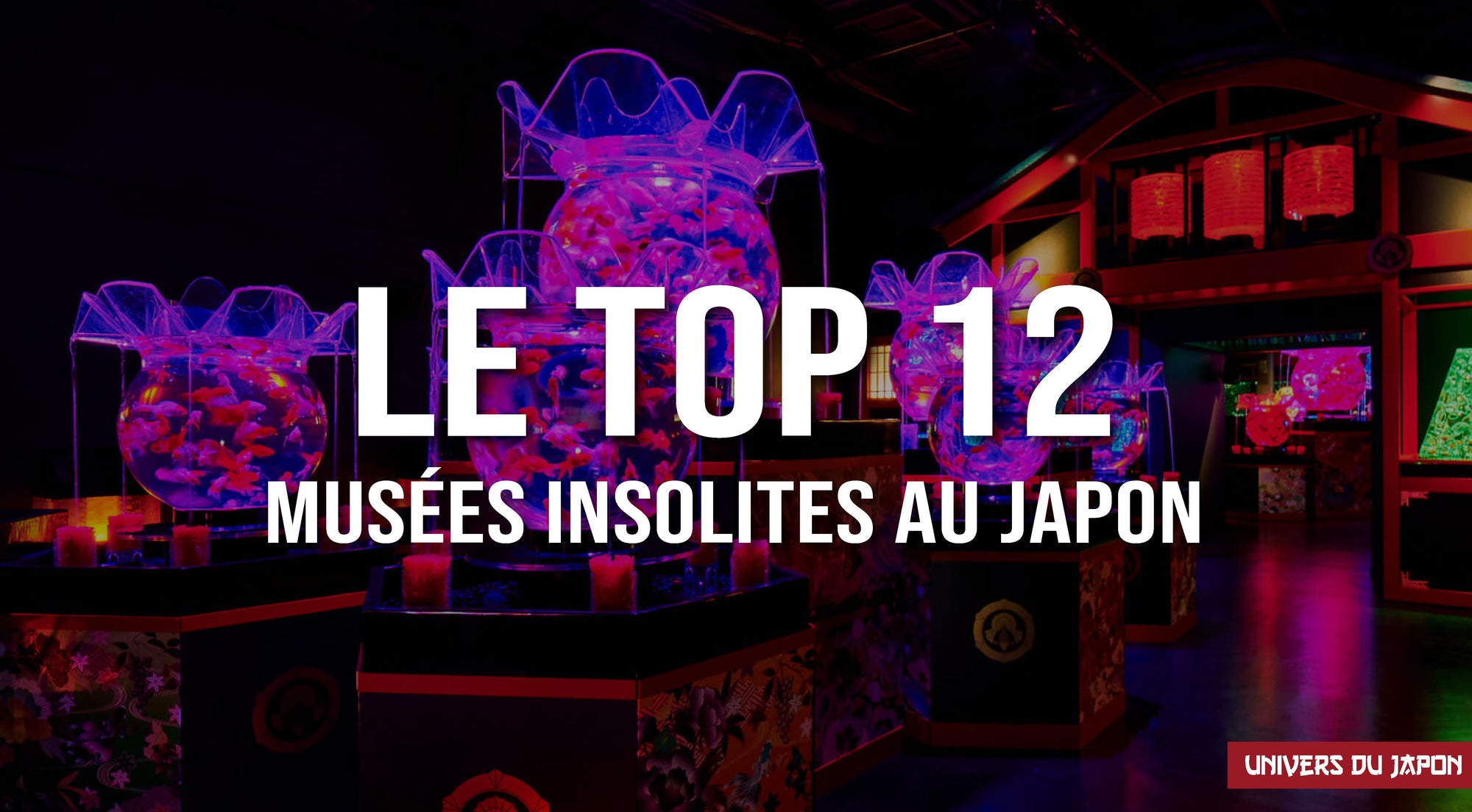 Rencontrez les 7 musées les plus étranges du Japon