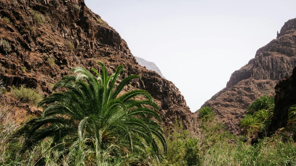 Barranco de las Vacas à Gran Canaria : accès et conseils
