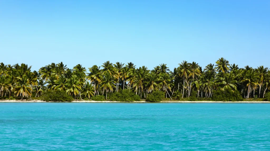 Voyage en Polynésie : îles, lagons et premiers choix à faire