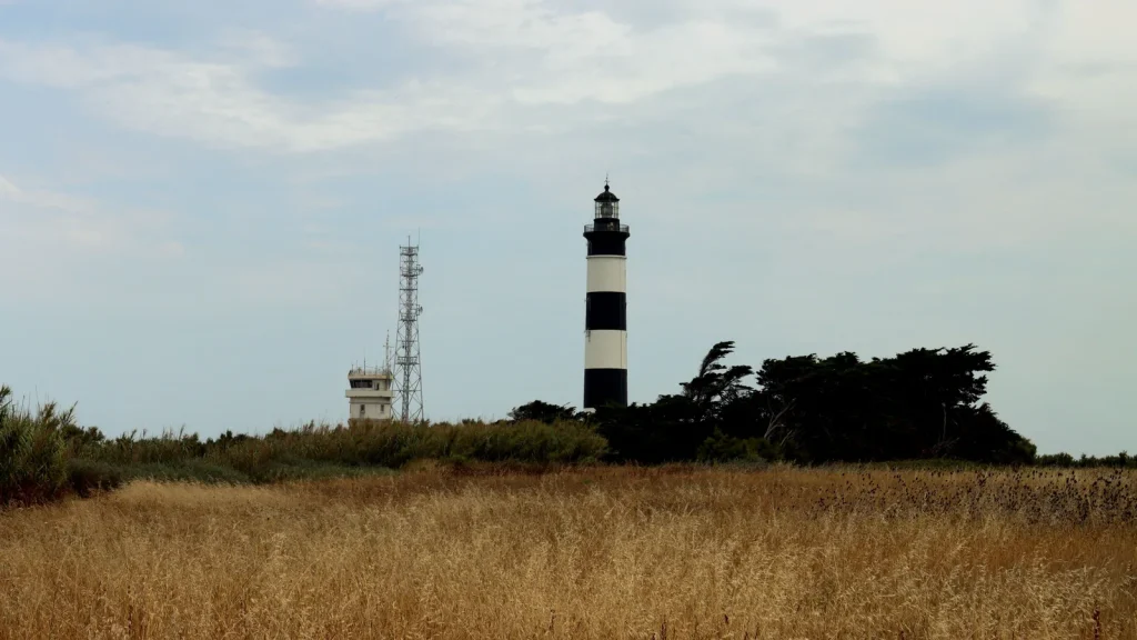 Île d&rsquo;Oléron : que faire sans courir d&rsquo;un bout à l&rsquo;autre ?