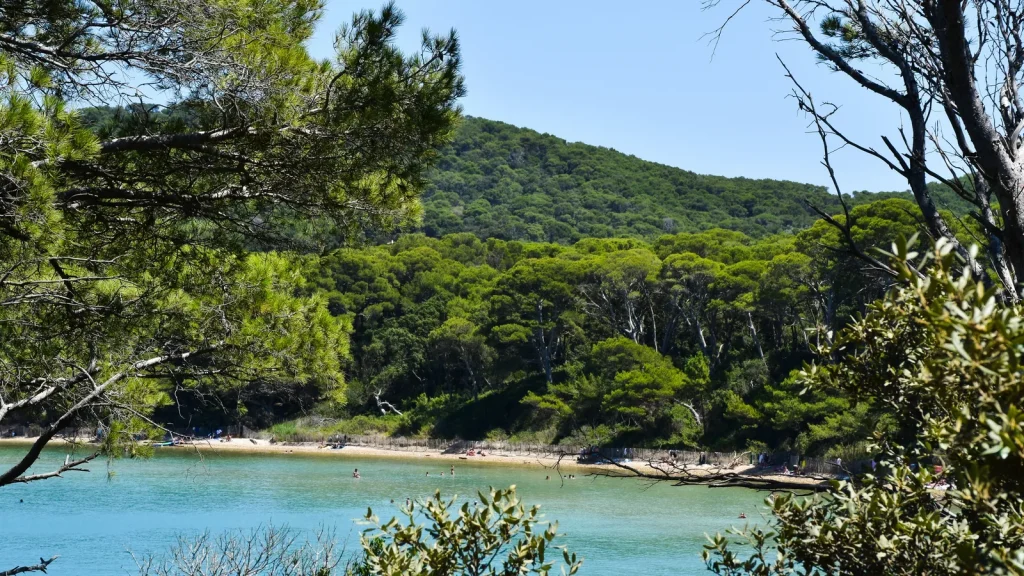 Les plages de Porquerolles : Notre-Dame ou une autre ?