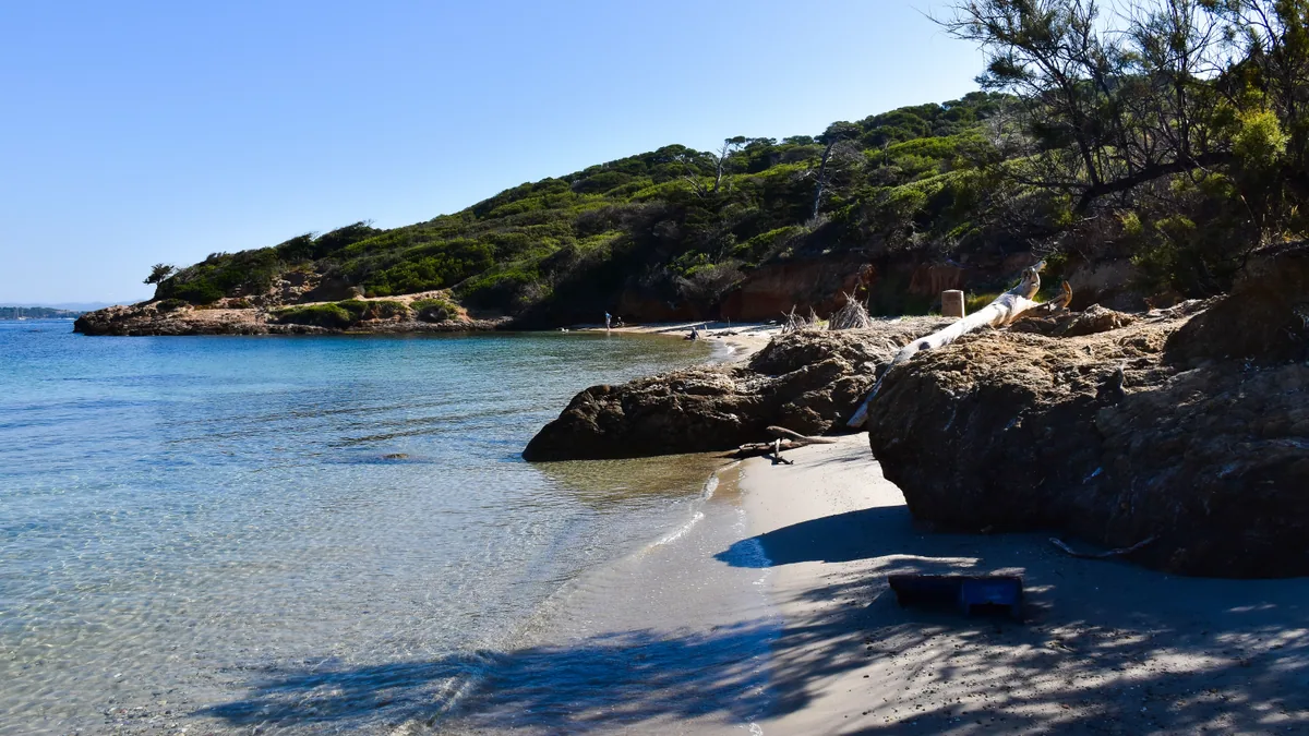 Plage de sable clair et pins méditerranéens sur l’île de Porquerolles