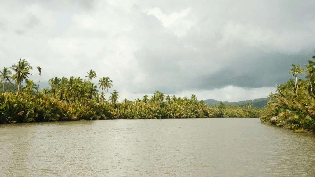 Plage tropicale des Philippines entre Bohol et Palawan